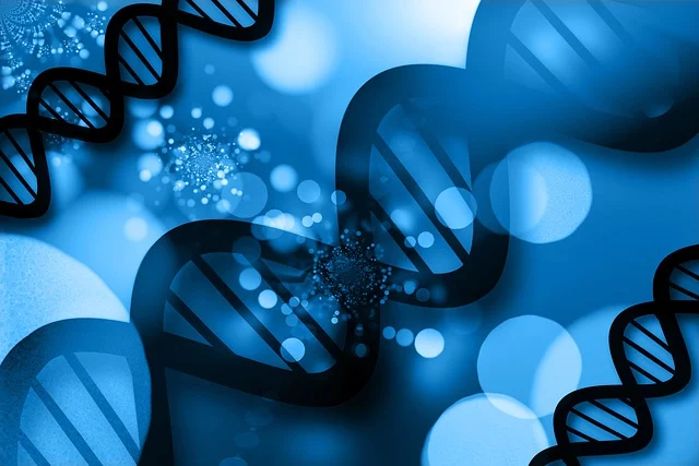 Desmodur W用于生產(chǎn)戶外高耐久聚氨酯制品