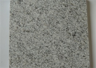 山東白麻 山東白麻