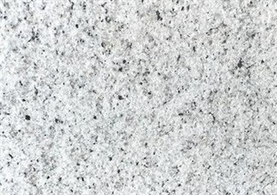 山東白麻 山東白麻