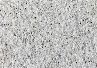 山東白麻 山東白麻