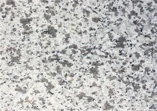 山東白麻 山東白麻