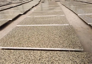 黃金麻的科學(xué)養(yǎng)護(hù)秘籍 (圖1) 黃金麻的科學(xué)養(yǎng)護(hù)秘籍 (圖1)