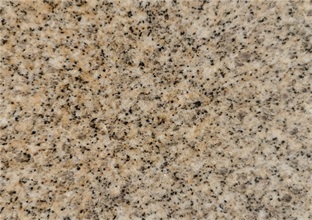 黃金麻水斑切記不能使用的方法(圖1) 黃金麻水斑切記不能使用的方法(圖1)