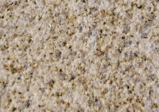 黃金麻日常護理幾個錦囊妙計(圖1) 黃金麻日常護理幾個錦囊妙計(圖1)