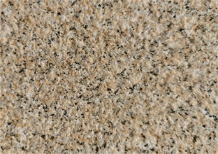 一眼辨別黃金麻的色彩特征 (圖1) 一眼辨別黃金麻的色彩特征 (圖1)