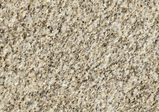 山東黃金麻的干掛膠有哪些作用(圖1) 山東黃金麻的干掛膠有哪些作用(圖1)