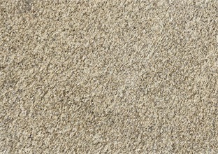 質(zhì)量劣次黃金麻的四個主要表現(xiàn) (圖1) 質(zhì)量劣次黃金麻的四個主要表現(xiàn) (圖1)