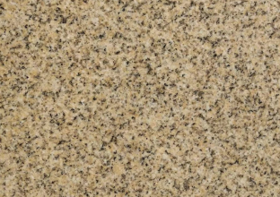 保障山東黃金麻的售后服務(wù) (圖1) 保障山東黃金麻的售后服務(wù) (圖1)