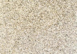 山東黃金麻表面為何會變黃 (圖1) 山東黃金麻表面為何會變黃 (圖1)