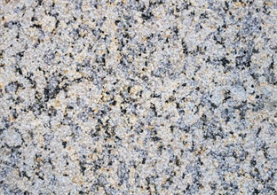 卸載黃金麻時(shí)需要注意的事項(xiàng) (圖1) 卸載黃金麻時(shí)需要注意的事項(xiàng) (圖1)