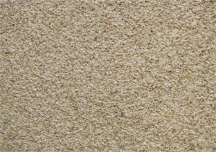 黃金麻外墻磚價格是怎樣定的 (圖1) 黃金麻外墻磚價格是怎樣定的 (圖1)