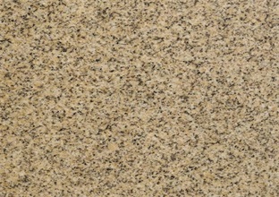 專家如何講解山東黃金麻 (圖1) 專家如何講解山東黃金麻 (圖1)