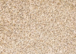 黃金麻的顏色是怎樣形成的 (圖1) 黃金麻的顏色是怎樣形成的 (圖1)